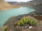 Tibet, Gyantse District: At the Simi La (4330m), with the artificial lake of a powerplant