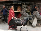 Nepal, Central Region, Bagmati Zone, Bhaktapur District, Bhaktapur, Taumadhi Square: An old woman with her goat at the broken construction of the bell in front of Bhairabnath temple