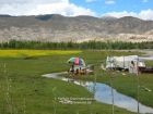 Tibet, Lhatse-Shigatse: Nomads at the highway