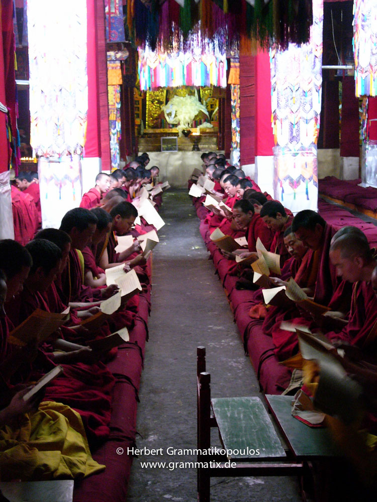 Tibet, Lhasa, Drepung Monastery: Monks studying in the Main Assembly Hall