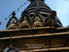 Nepal, Central Region, Bagmati Zone, Kathmandu, Swayambhou: A monkey in a niche of the great stupa